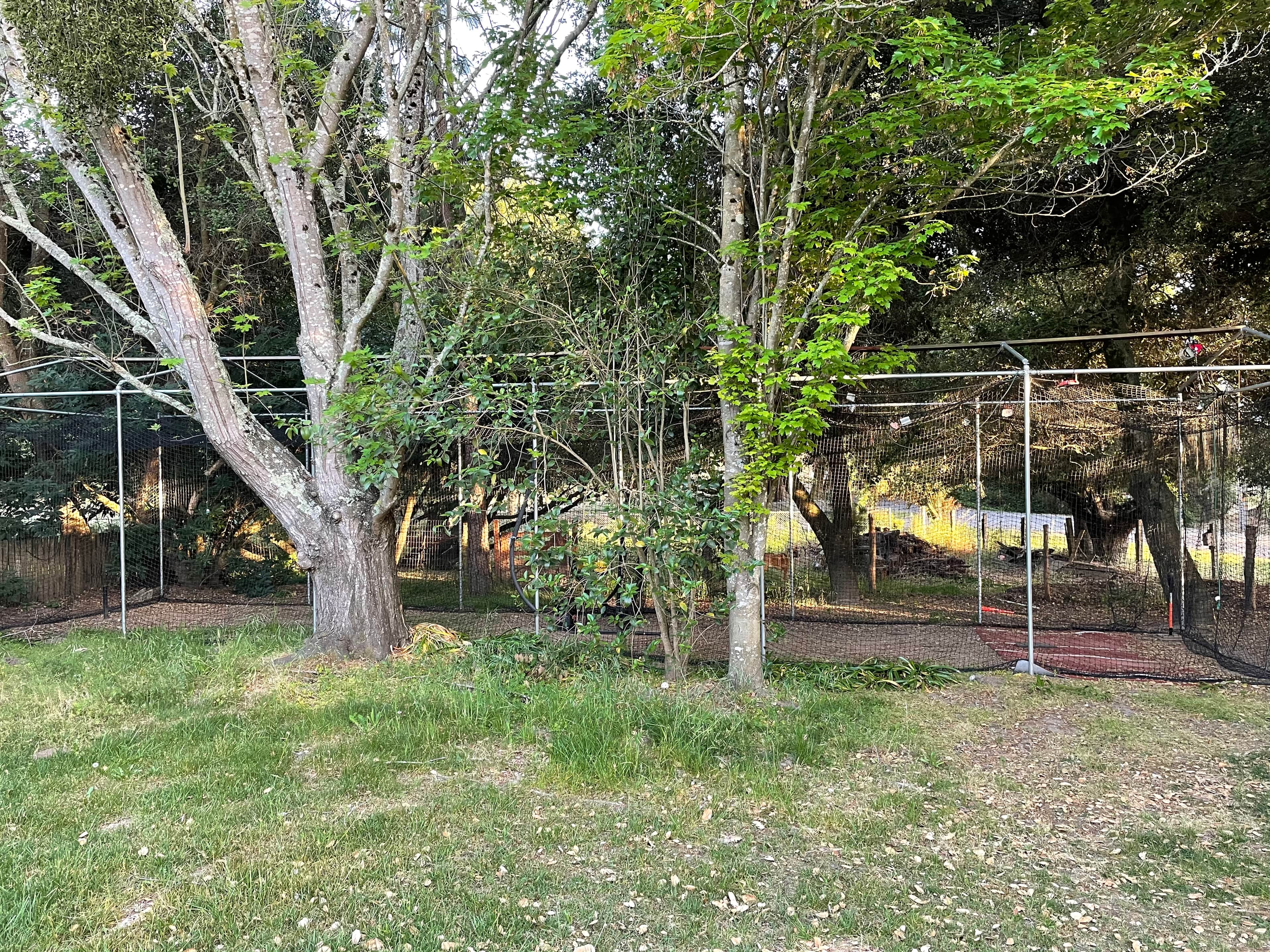 Barrel It Up Batting Cage in Cotati, CA photo 2