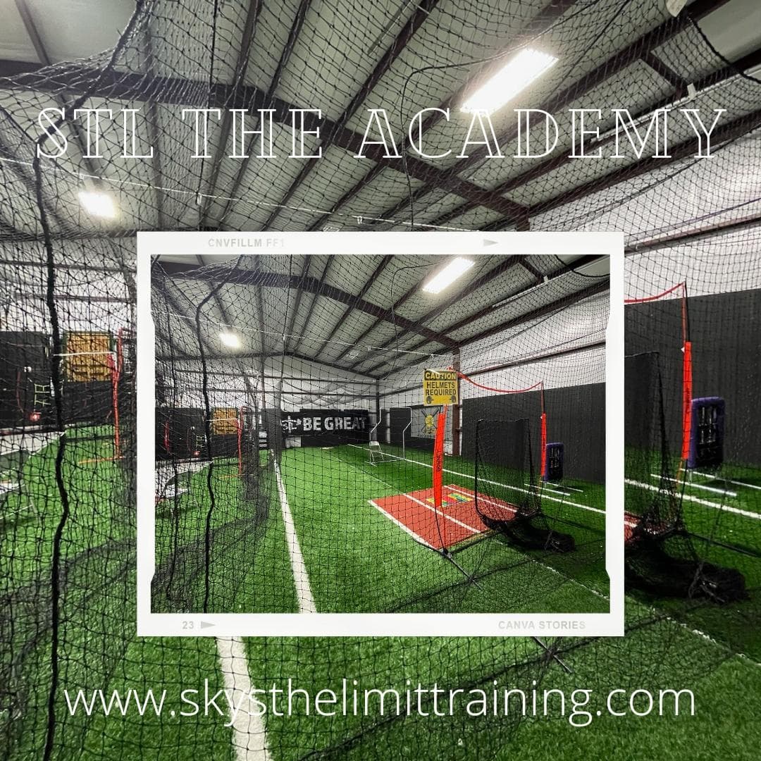 Covered Batting Cage in Andrews, TX — Lighted & Turf - photo 2