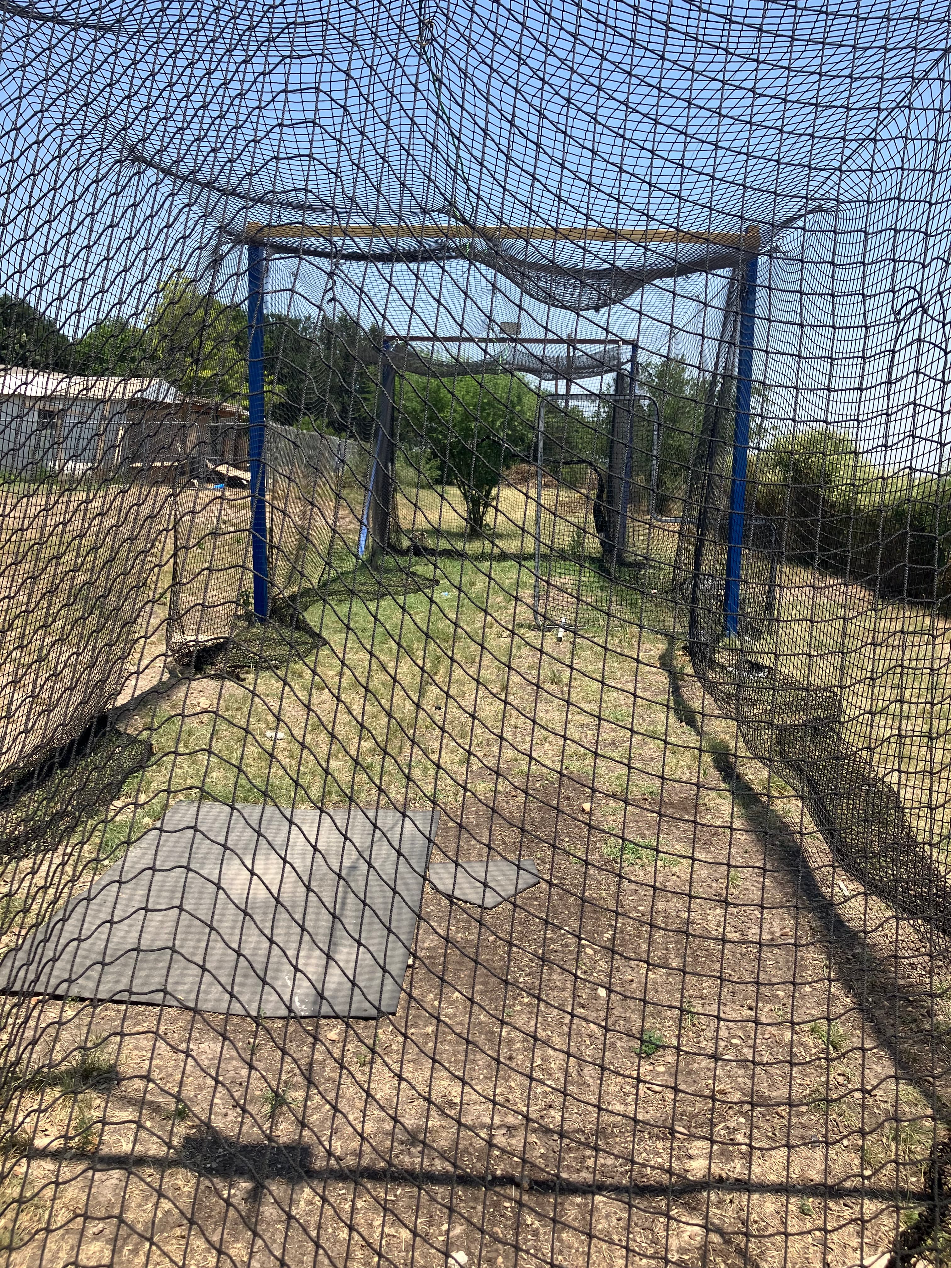 Backyard cage - Batting cage rental in San Antonio, TX